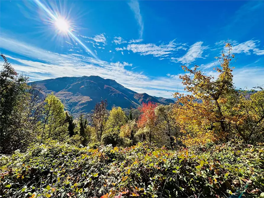 Immagine 20 di Rustico / casale in vendita  in Frazione Albra a Ormea