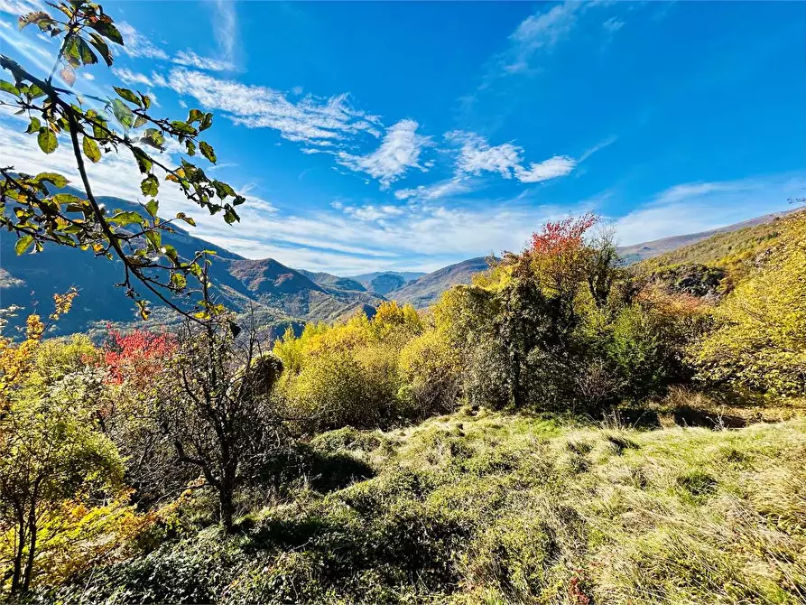 Immagine 28 di Rustico / casale in vendita  in Frazione Albra a Ormea