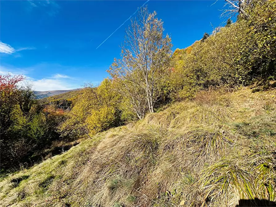 Immagine 22 di Rustico / casale in vendita  in Frazione Albra a Ormea