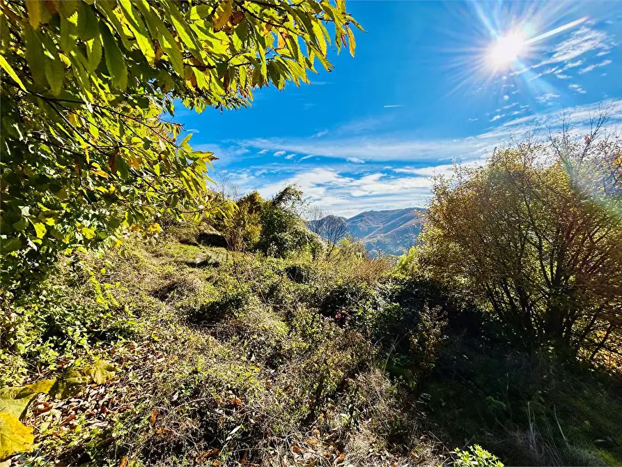 Immagine 27 di Rustico / casale in vendita  in Frazione Albra a Ormea