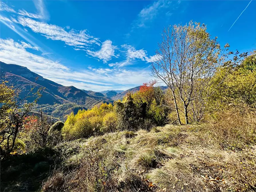 Immagine 21 di Rustico / casale in vendita  in Frazione Albra a Ormea