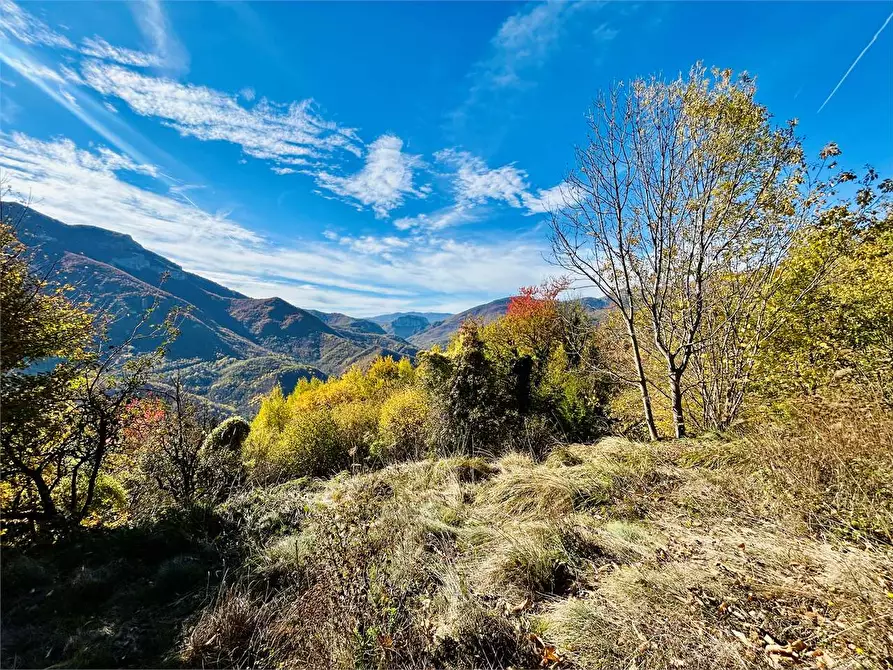 Immagine 6 di Rustico / casale in vendita  in Frazione Albra a Ormea