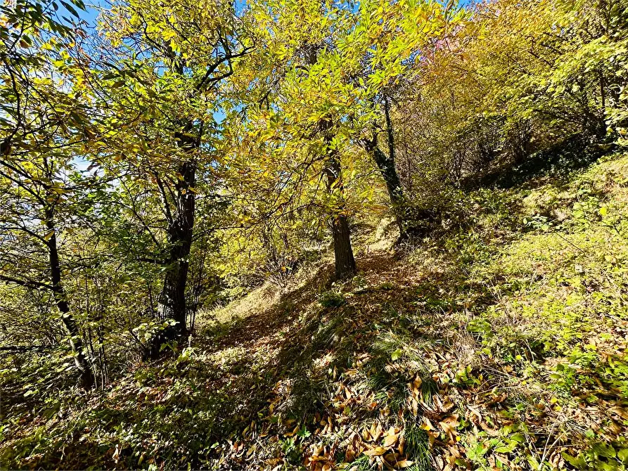 Immagine 24 di Rustico / casale in vendita  in Frazione Albra a Ormea