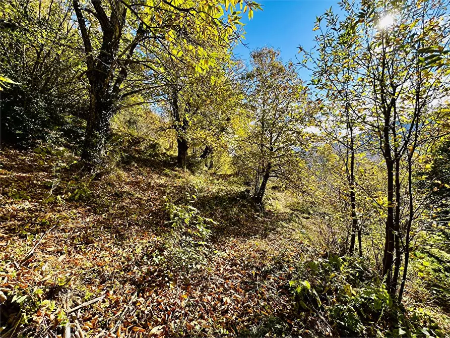 Immagine 23 di Rustico / casale in vendita  in Frazione Albra a Ormea