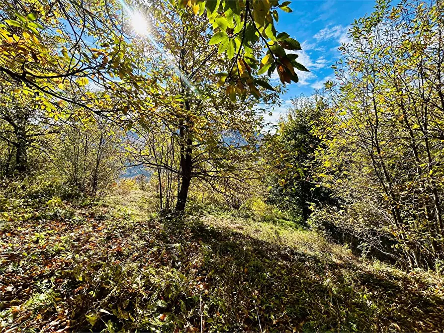 Immagine 26 di Rustico / casale in vendita  in Frazione Albra a Ormea