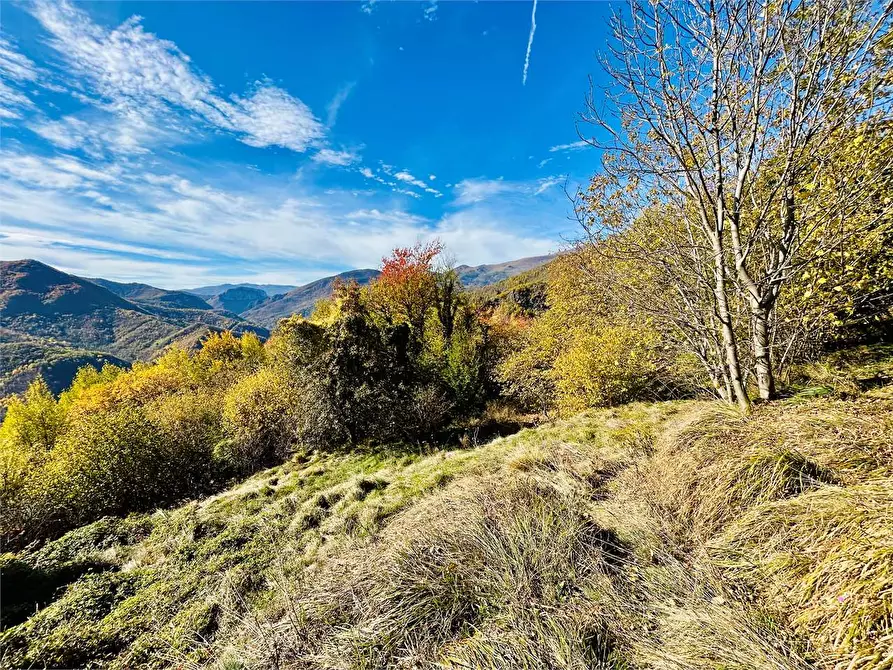 Immagine 25 di Rustico / casale in vendita  in Frazione Albra a Ormea