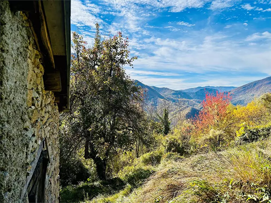 Immagine 16 di Rustico / casale in vendita  in Frazione Albra a Ormea