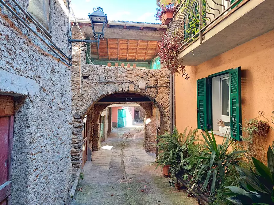 Immagine 40 di Casa indipendente in vendita  in Via Palestro 14 a Cosio D'arroscia