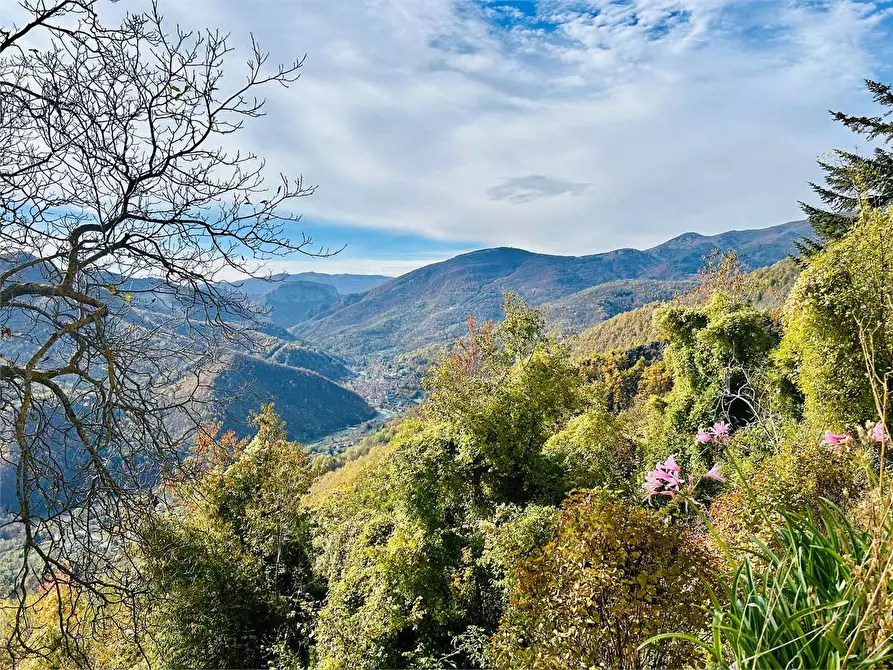 Immagine 5 di Rustico / casale in vendita  in Frazione Albra  a Ormea