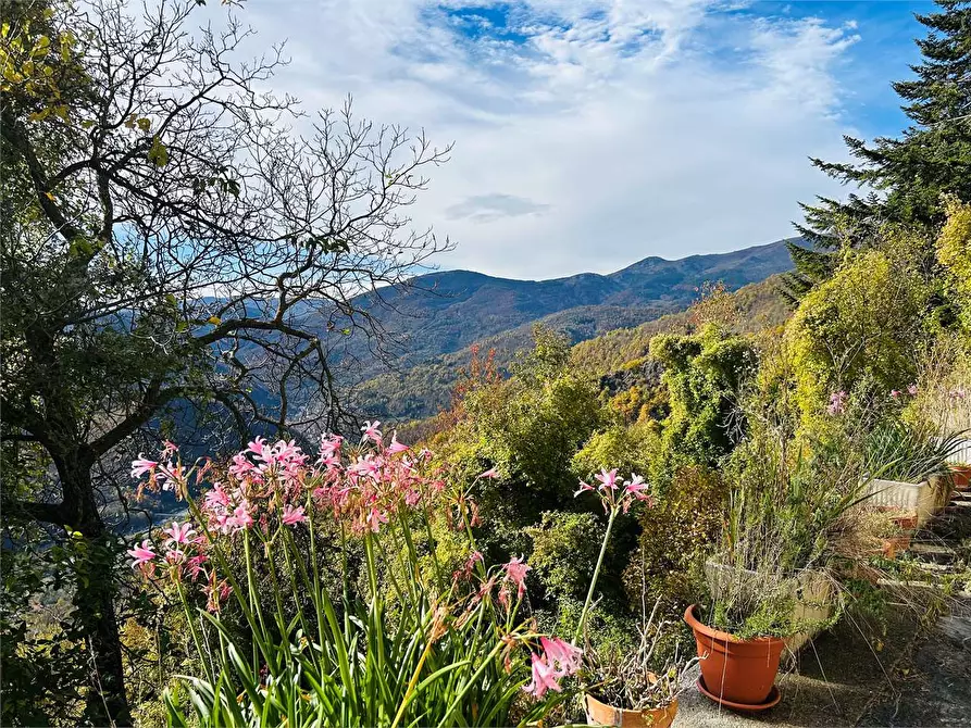 Immagine 3 di Rustico / casale in vendita  in Frazione Albra  a Ormea