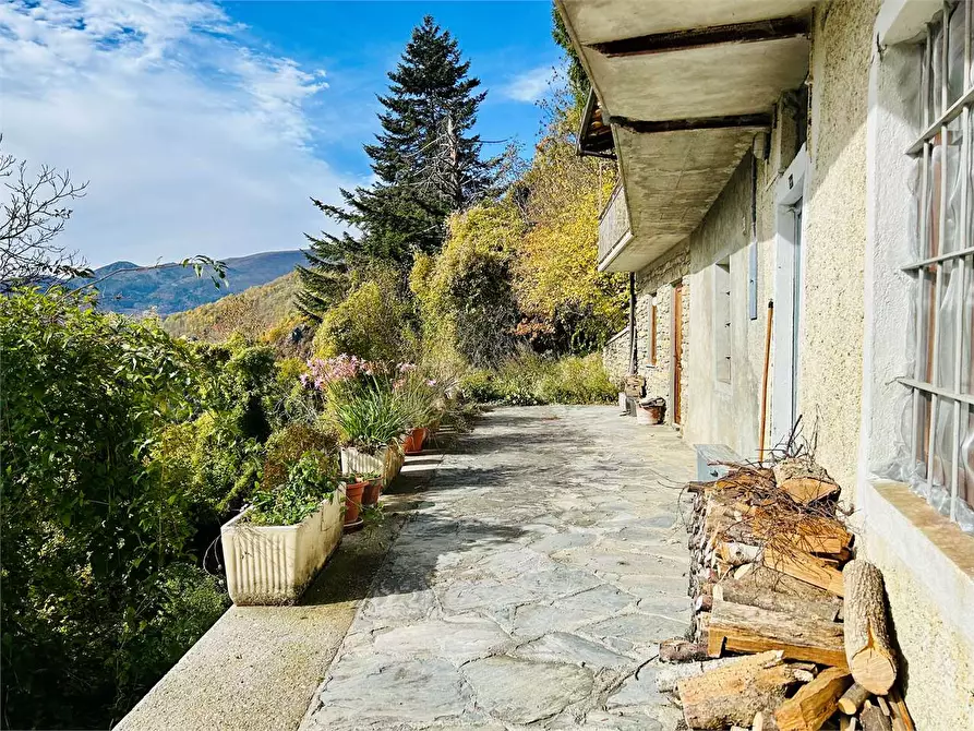 Immagine 3 di Rustico / casale in vendita  in Frazione Albra  a Ormea