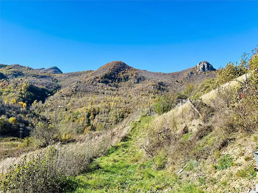 Immagine 79 di Casa indipendente in vendita  in Regione Crose  8 a Garessio