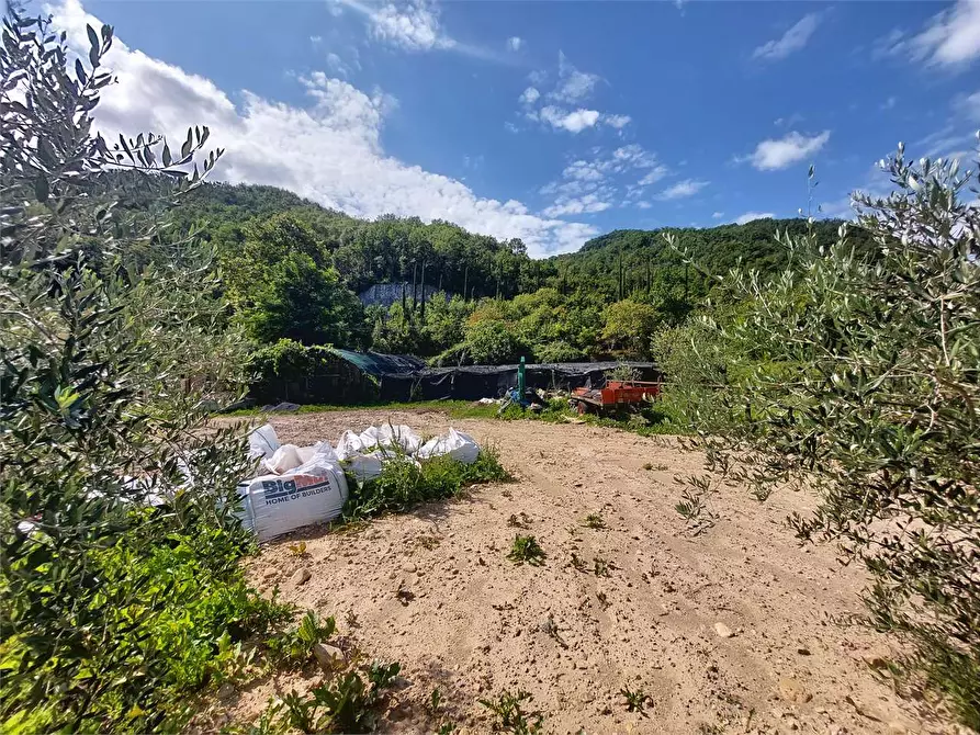 Immagine 11 di Terreno edificabile in vendita  in Via P. Manfredi a Vessalico