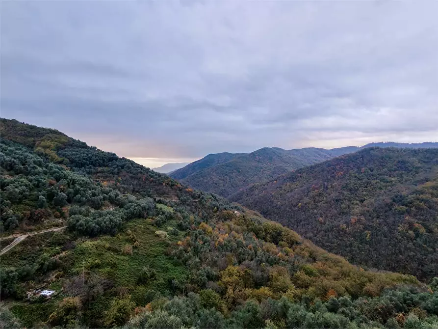 Immagine 3 di Casa indipendente in vendita  in Frazione Vellego 18 a Casanova Lerrone