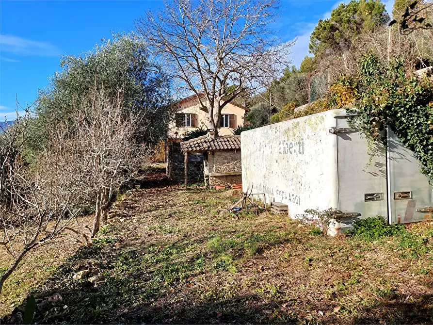 Immagine 46 di Casa indipendente in vendita  in Villaggio del Sole a Pieve Di Teco