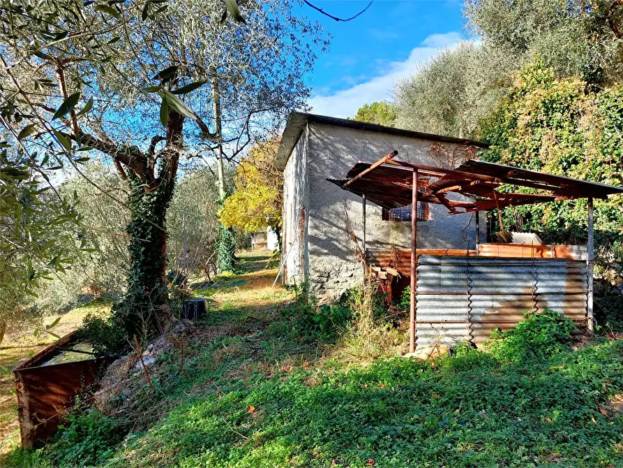 Immagine 47 di Casa indipendente in vendita  in Villaggio del Sole a Pieve Di Teco