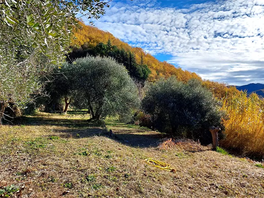 Immagine 48 di Casa indipendente in vendita  in Villaggio del Sole a Pieve Di Teco