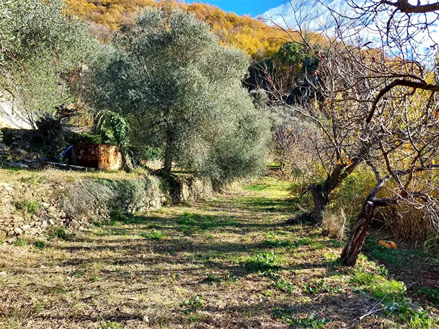 Immagine 50 di Casa indipendente in vendita  in Villaggio del Sole a Pieve Di Teco
