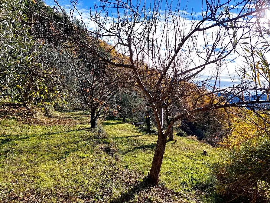 Immagine 51 di Casa indipendente in vendita  in Villaggio del Sole a Pieve Di Teco