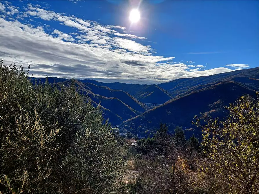Immagine 13 di Casa indipendente in vendita  in Villaggio del Sole a Pieve Di Teco