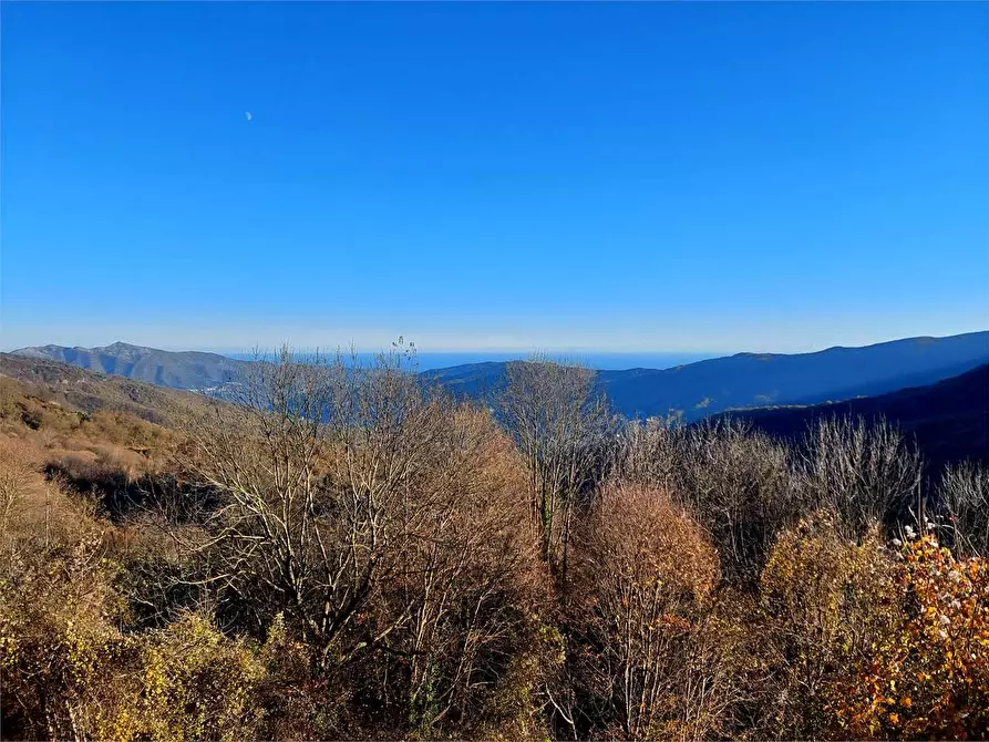 Immagine 5 di Appartamento in vendita  in Via San Bernardo di Conio 22 a Borgomaro