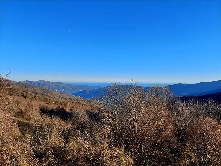 Immagine 1 di Appartamento in vendita  in Via San Bernardo di Conio 22 a Borgomaro