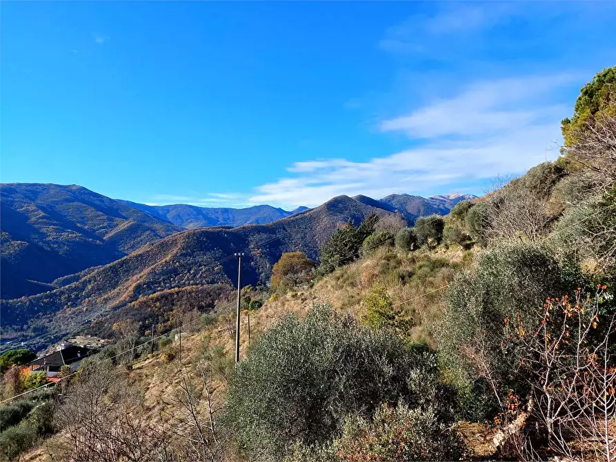 Immagine 14 di Casa indipendente in vendita  in Villaggio del Sole a Pieve Di Teco