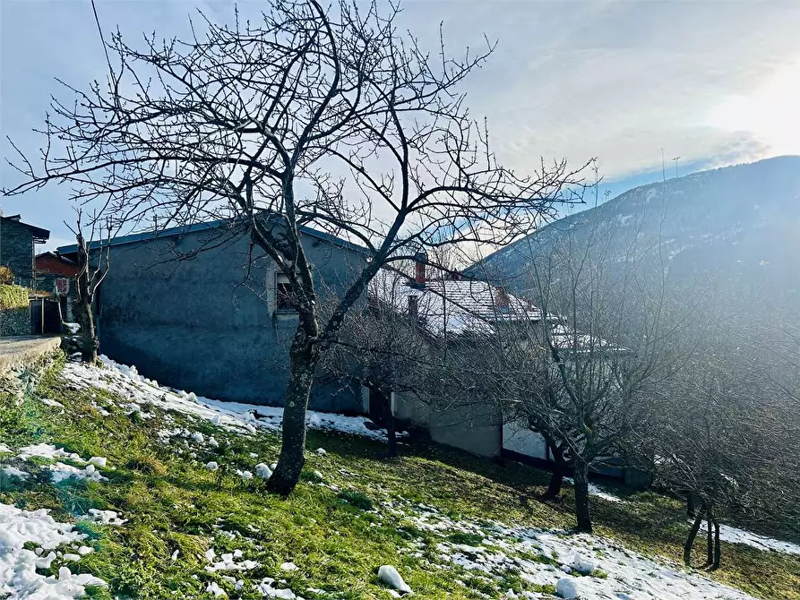 Immagine 13 di Casa indipendente in vendita  in Frazione Chionea 14 a Ormea