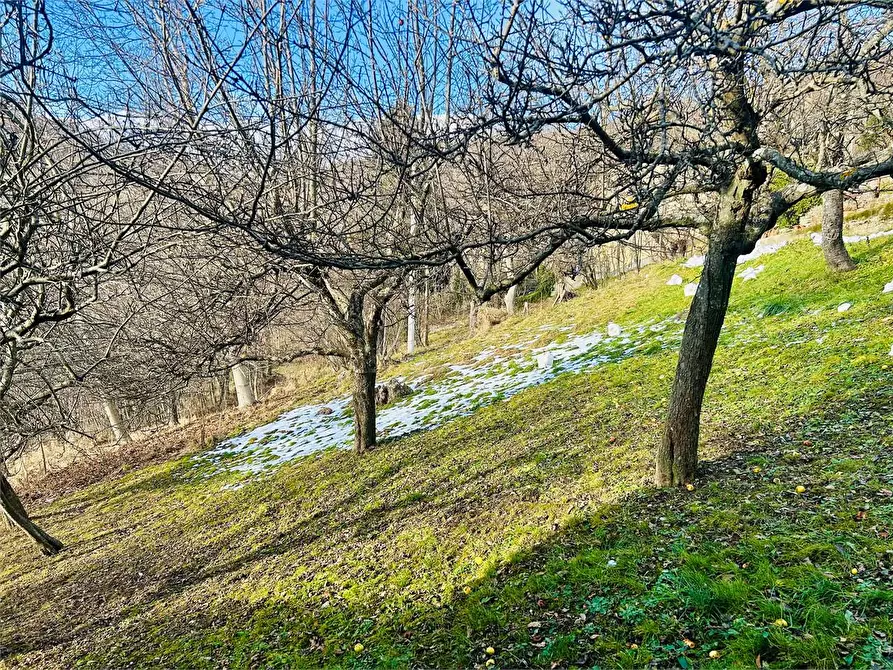 Immagine 55 di Casa indipendente in vendita  in Frazione Chionea 14 a Ormea