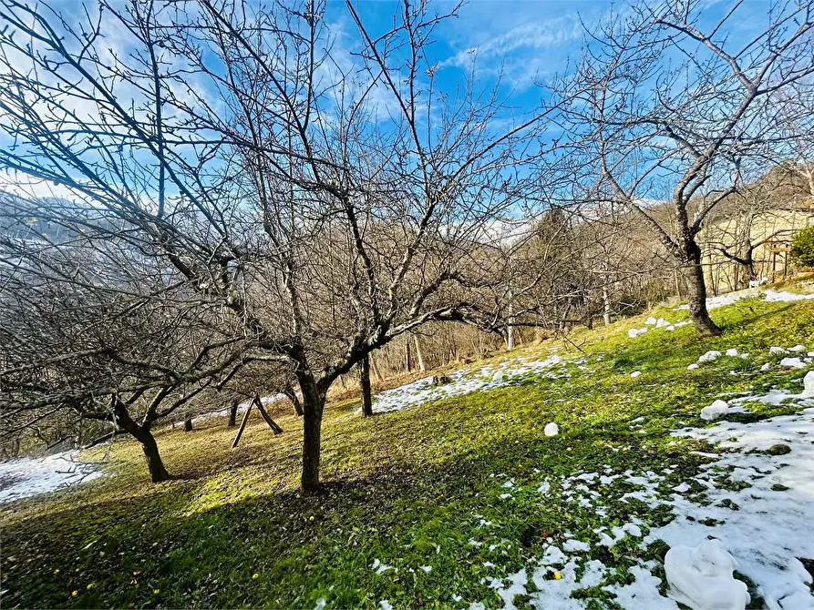 Immagine 11 di Casa indipendente in vendita  in Frazione Chionea 14 a Ormea