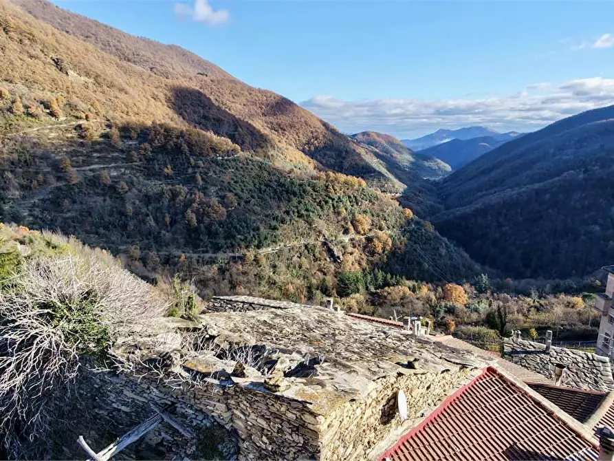Immagine 2 di Rustico / casale in vendita  in Al castello a Rezzo