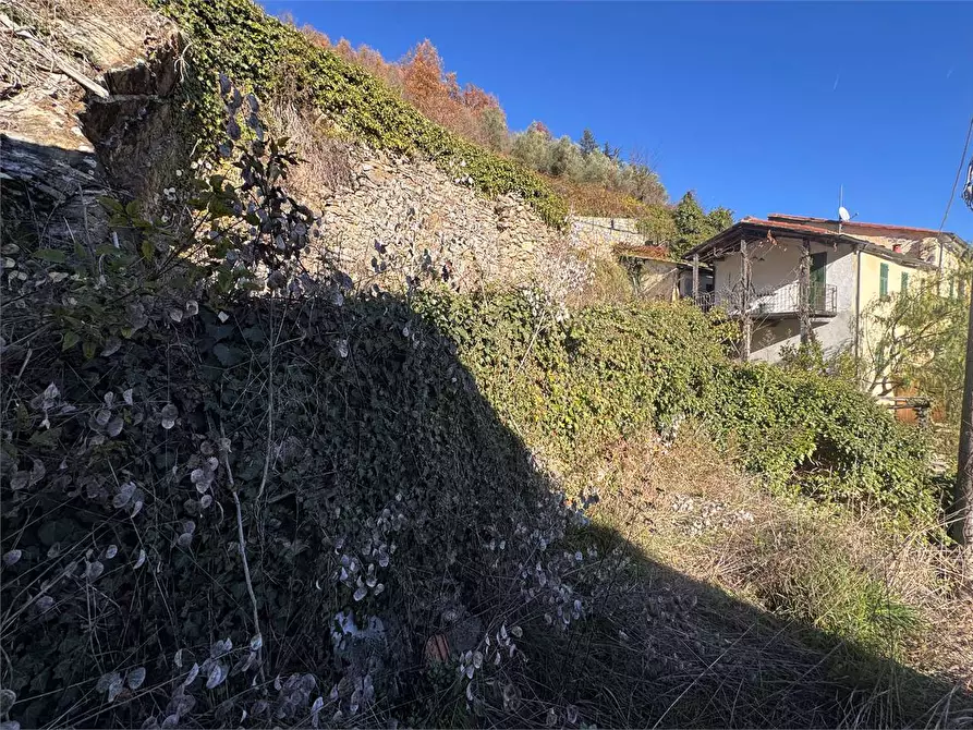 Immagine 39 di Casa indipendente in vendita  in Via Cavour 64 a Rezzo