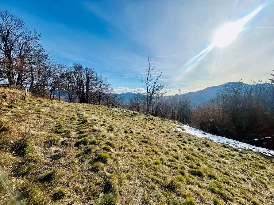 Immagine 8 di Casa bifamiliare in vendita  in Frazione Mindino  a Garessio