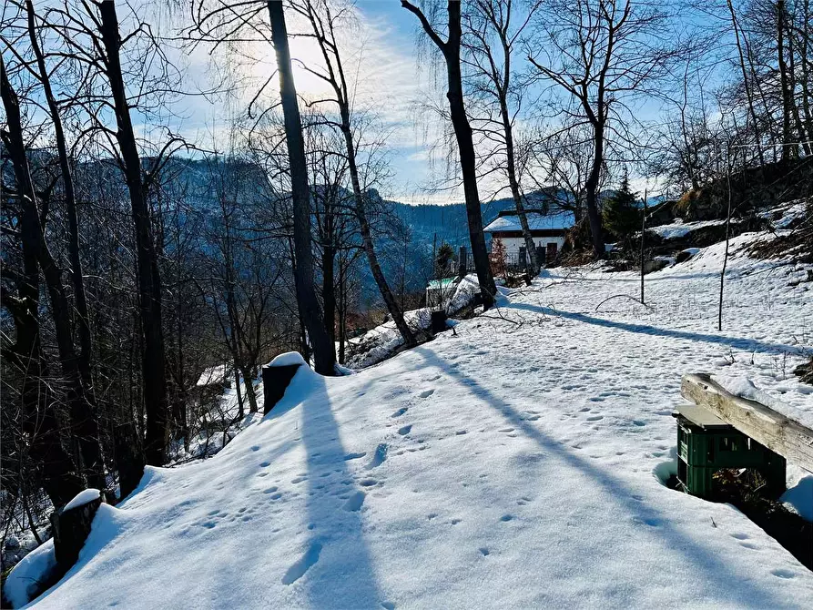 Immagine 35 di Casa indipendente in vendita  in Borgata Sen a Ormea