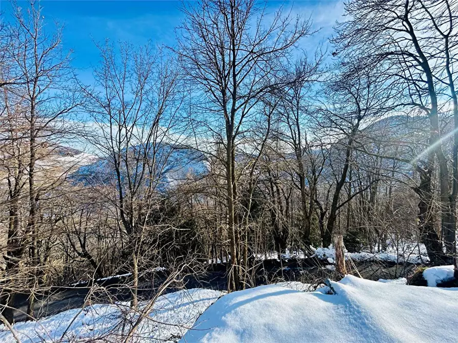 Immagine 18 di Casa indipendente in vendita  in Borgata Sen a Ormea