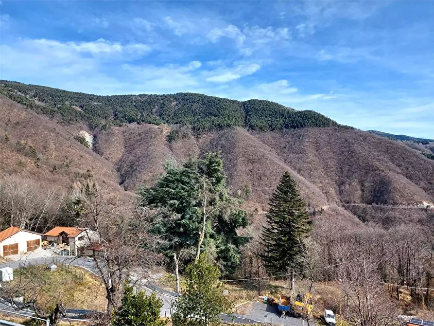Immagine 33 di Casa indipendente in vendita  in Via San Bernardoo a Mendatica