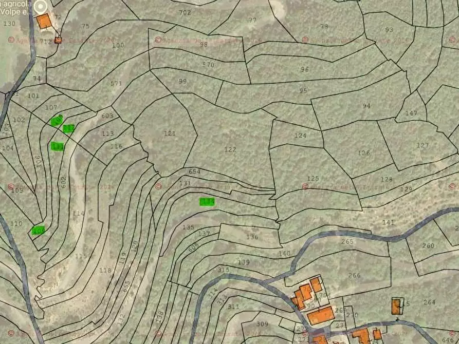 Immagine 15 di Terreno agricolo in vendita  in Frazione Eca  a Ormea