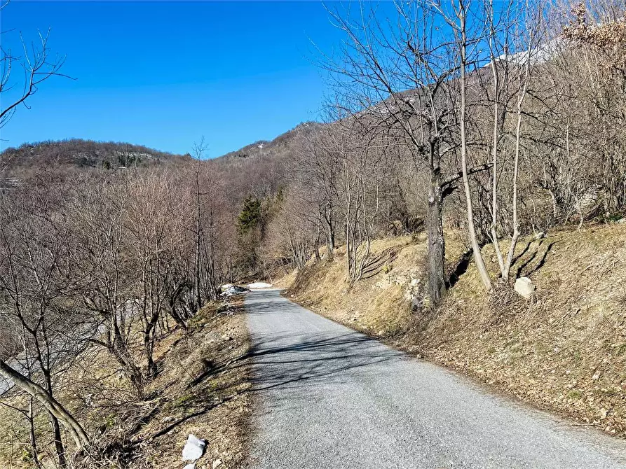Immagine 9 di Terreno agricolo in vendita  in Frazione Eca  a Ormea
