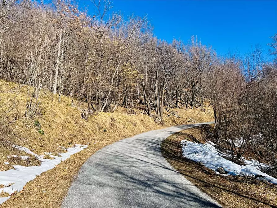 Immagine 11 di Terreno agricolo in vendita  in Frazione Eca  a Ormea