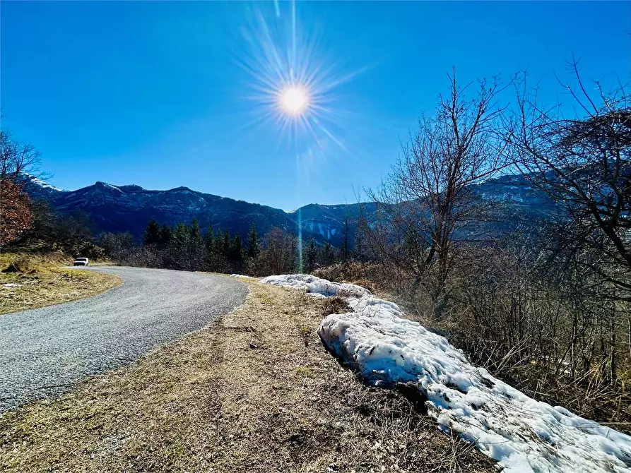 Immagine 12 di Terreno agricolo in vendita  in Frazione Eca  a Ormea