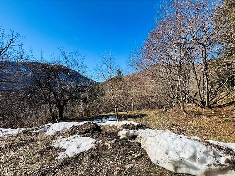 Immagine 5 di Terreno agricolo in vendita  in Frazione Eca  a Ormea