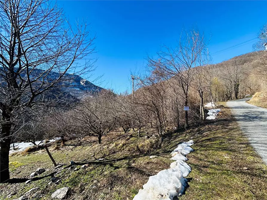 Immagine 4 di Terreno agricolo in vendita  in Frazione Eca  a Ormea