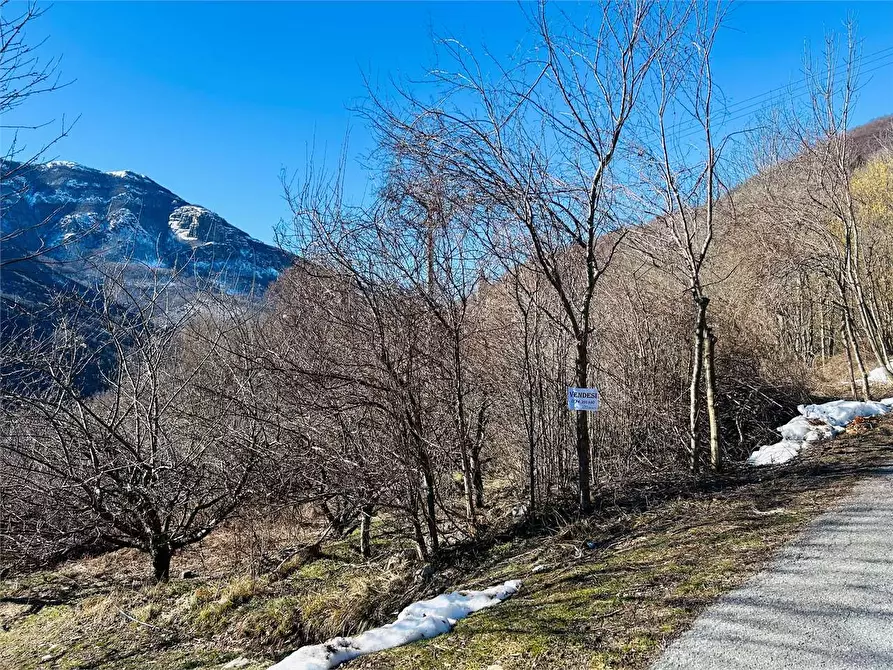 Immagine 2 di Terreno agricolo in vendita  in Frazione Eca  a Ormea