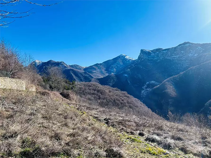 Immagine 8 di Terreno agricolo in vendita  in Frazione Eca  a Ormea