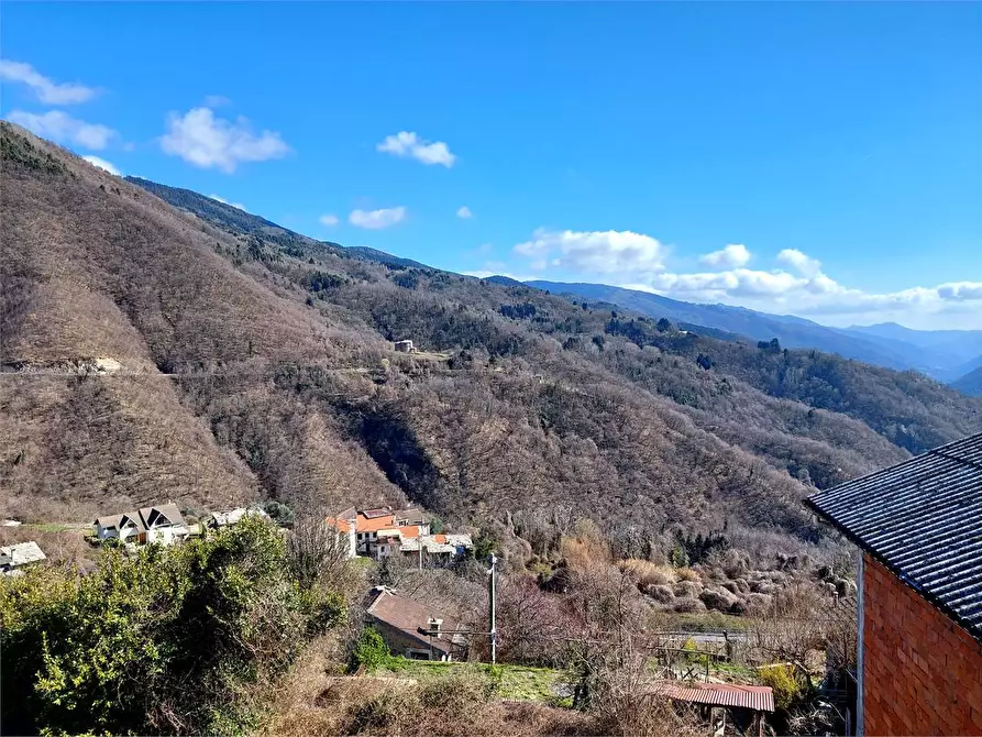 Immagine 11 di Casa indipendente in vendita  in Via Madonnetta 13 a Mendatica