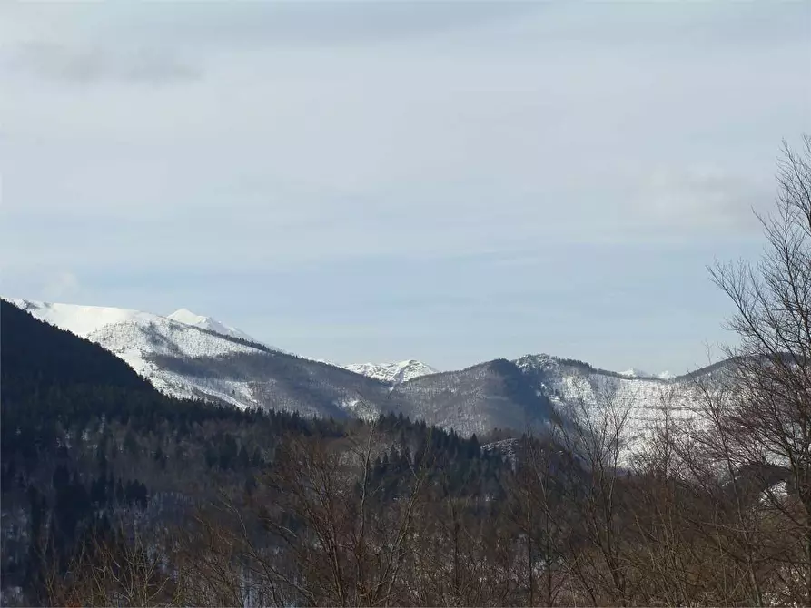 Immagine 18 di Appartamento in vendita  in Località Colle di Casotto a Garessio