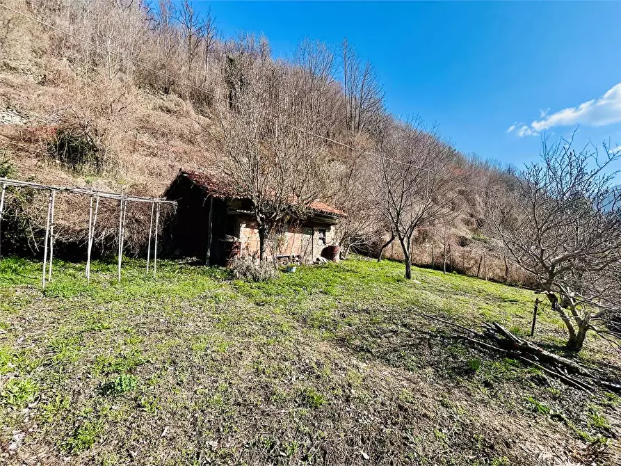 Immagine 35 di Casa indipendente in vendita  in Isola Lunga 7 a Ormea