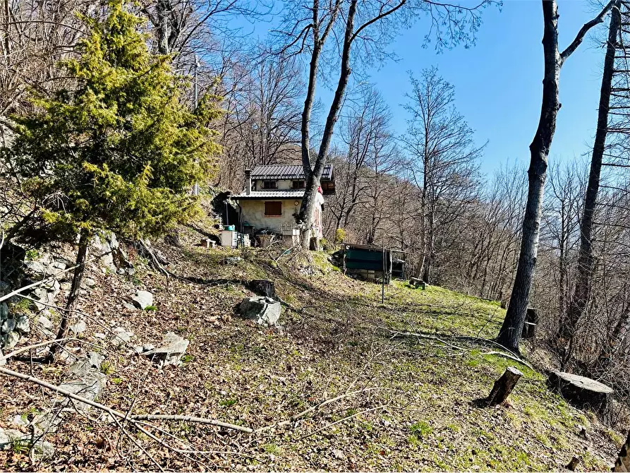 Immagine 35 di Casa indipendente in vendita  in Borgata Sen a Ormea