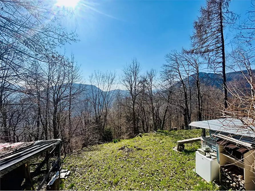 Immagine 3 di Casa indipendente in vendita  in Borgata Sen a Ormea
