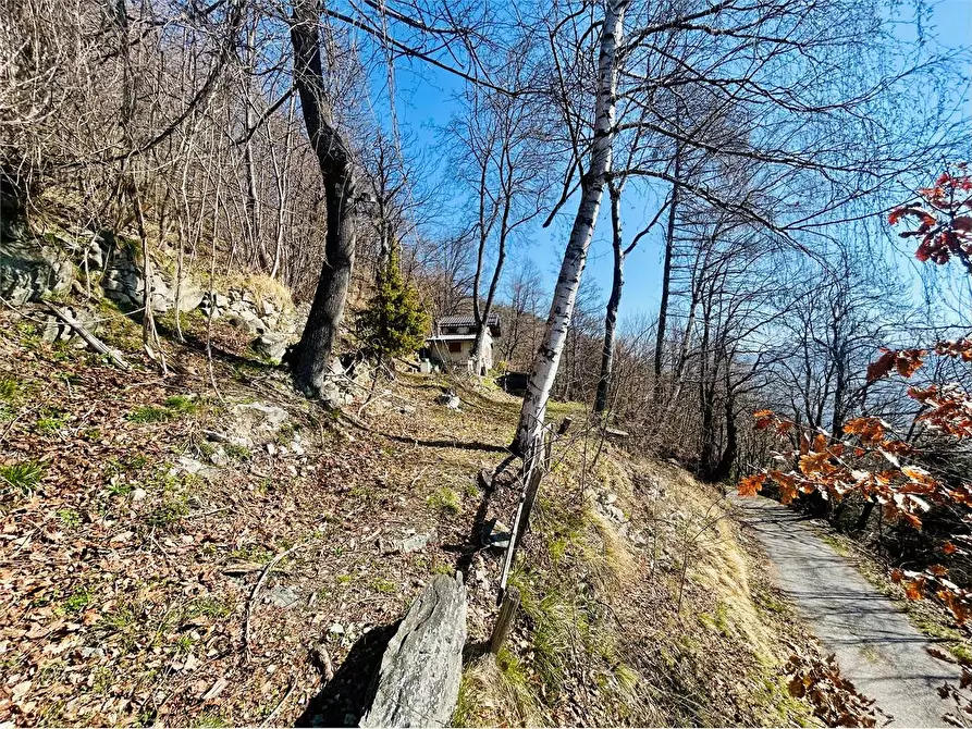 Immagine 38 di Casa indipendente in vendita  in Borgata Sen a Ormea